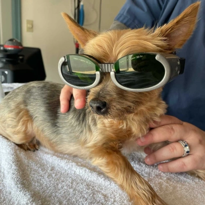 Cold Laser Therapy