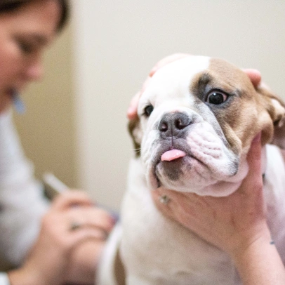 Cold Laser Therapy