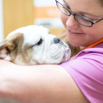 Pet Preventative Care