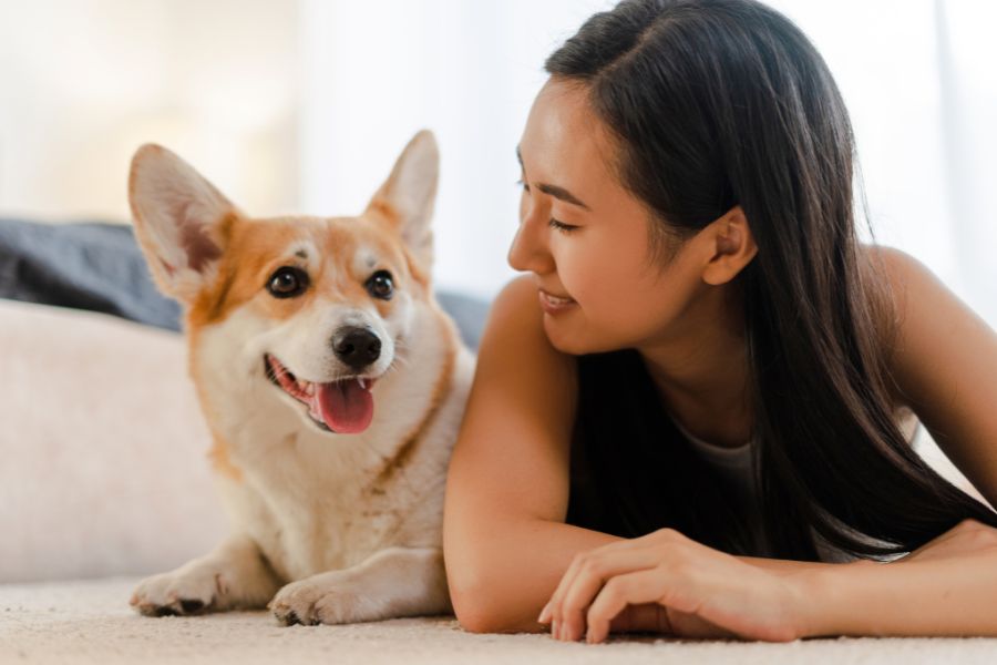 strengthen bond with dog